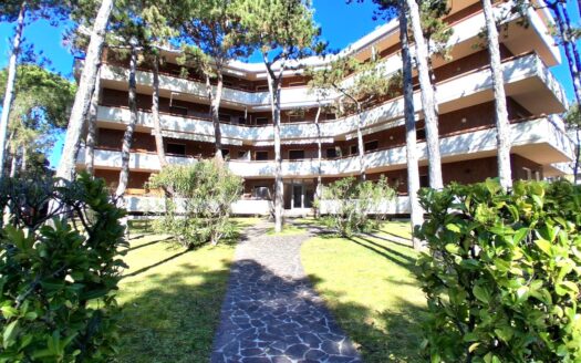 Trilocale ristrutturato in Viale delle Palme